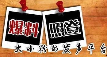 重庆新闻爆料有奖,市民积极参与共享线索 第2张 重庆新闻爆料有奖,市民积极参与共享线索 第2张